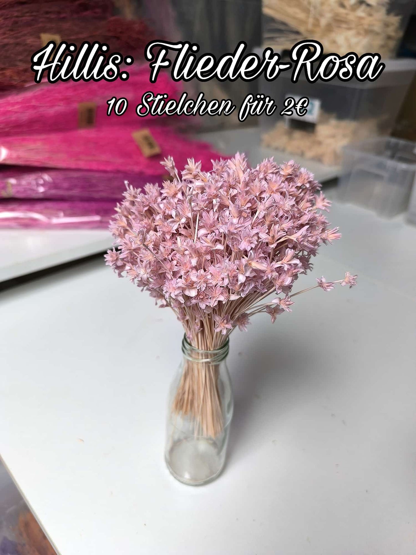 Hillis | Flieder-Rosa