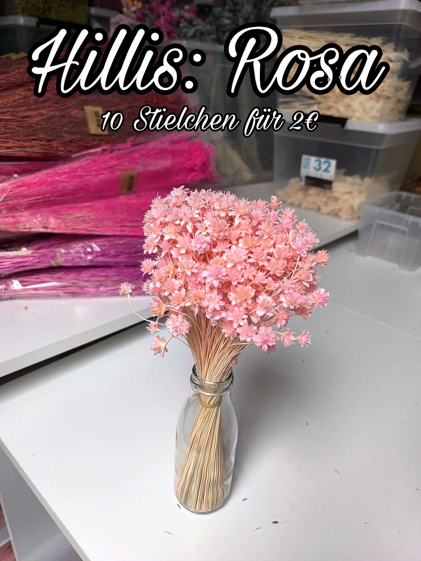 Hillis | Rosa