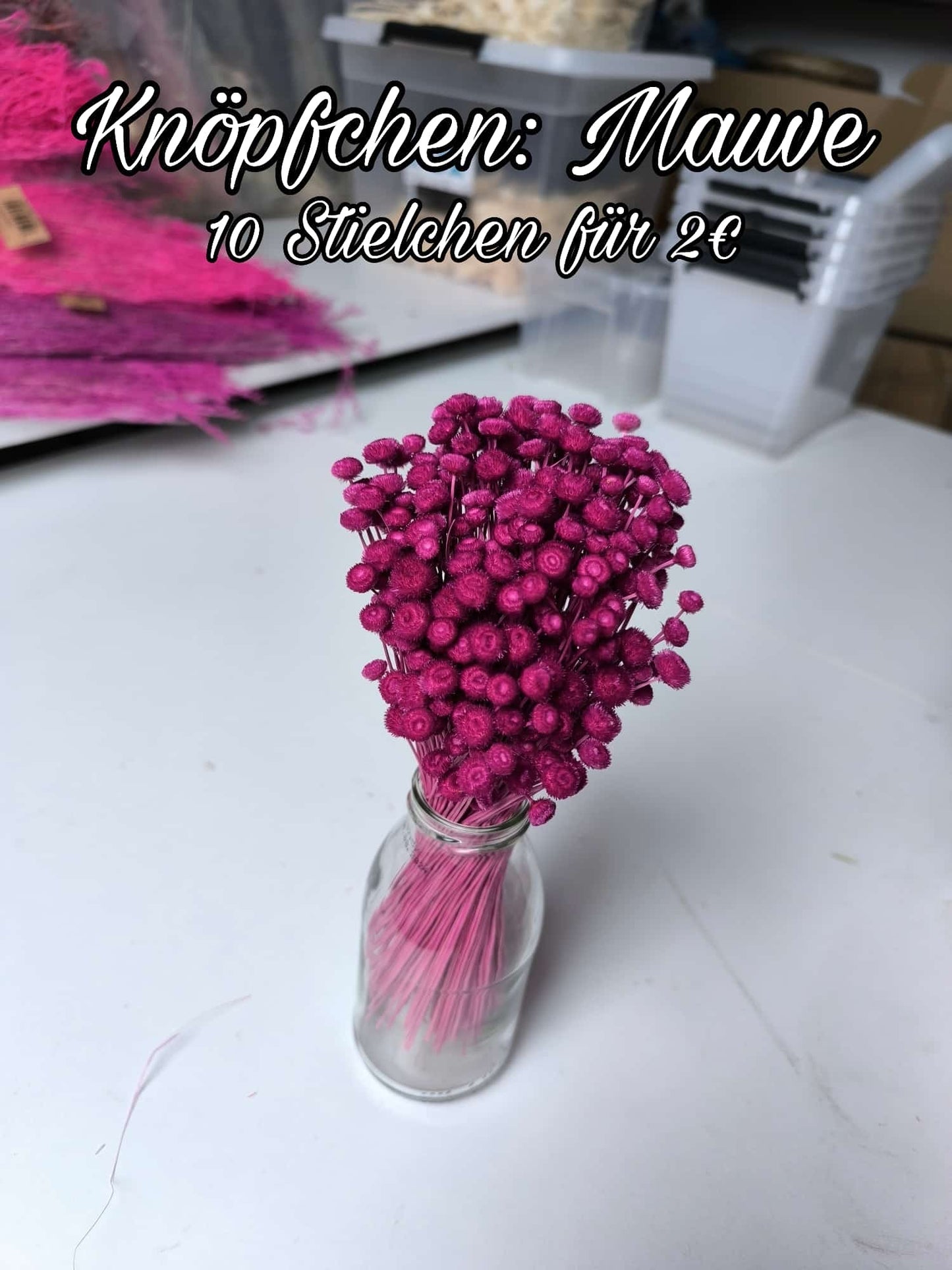 Knöpfchen | Mauve