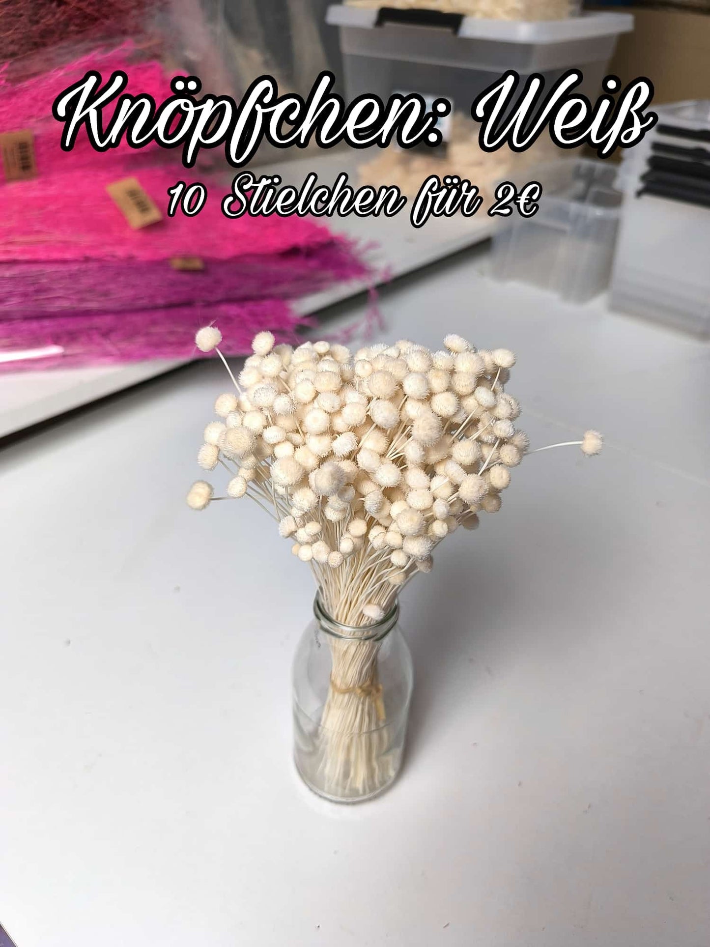 Knöpfchen | Weiß