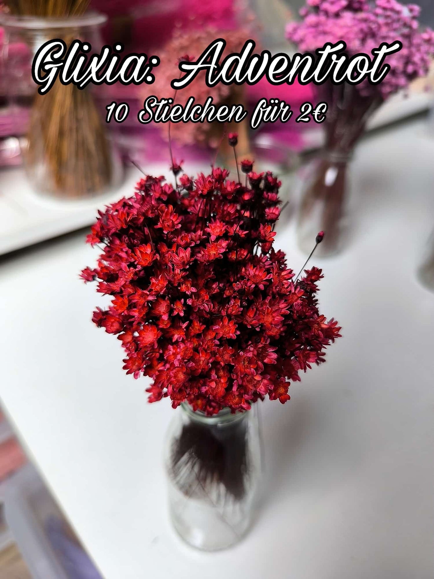 Glixia | Adventrot
