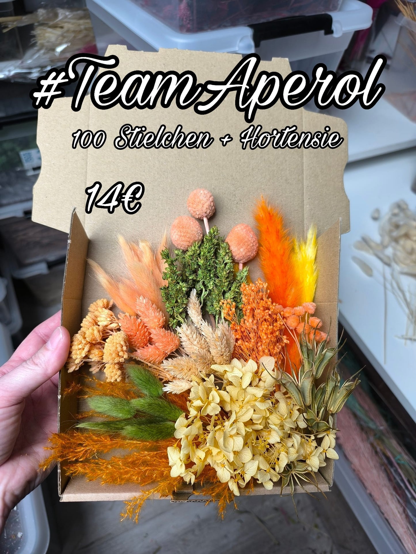 Box | #TeamAperol