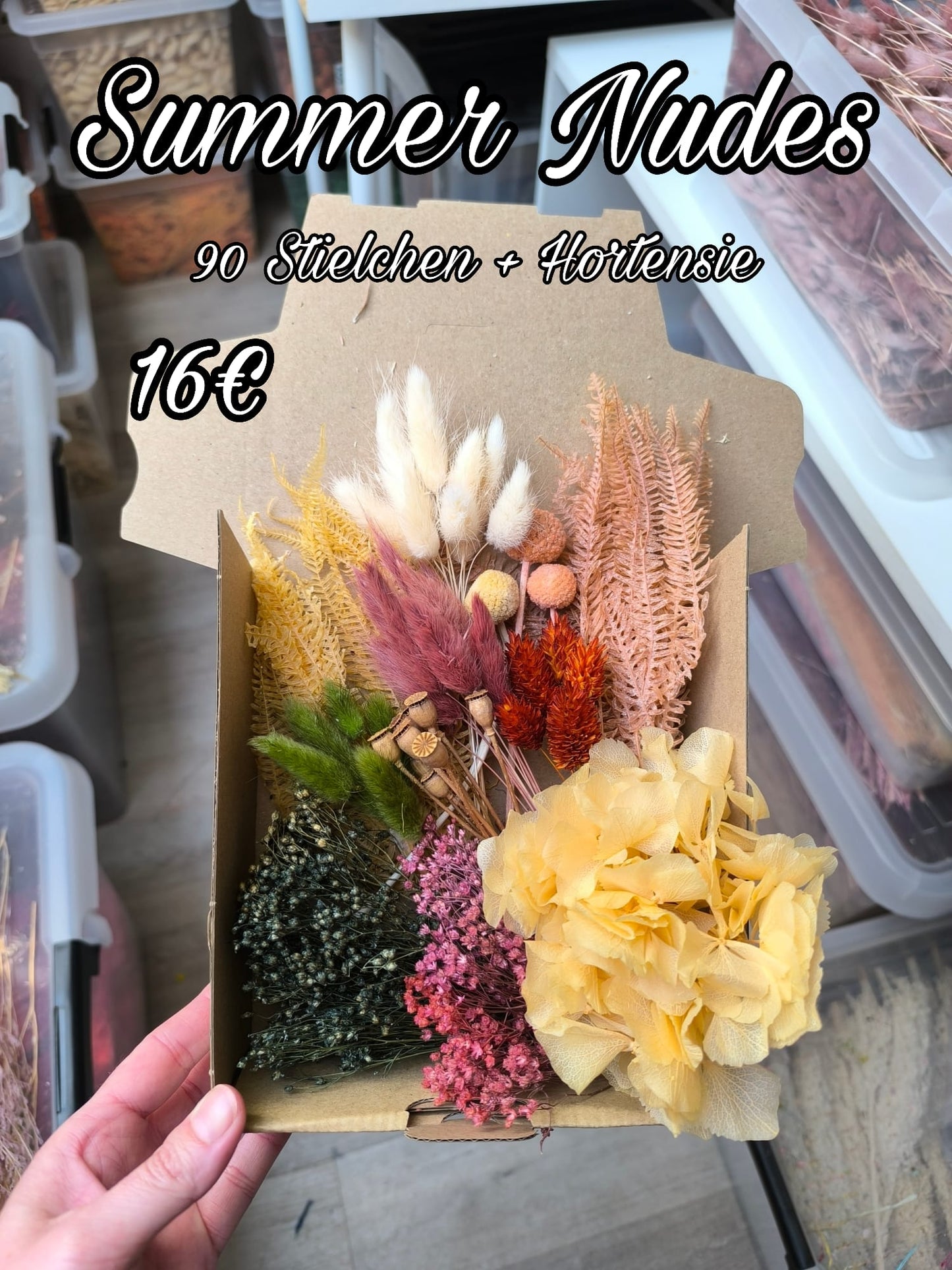 Box | Summer Nudes