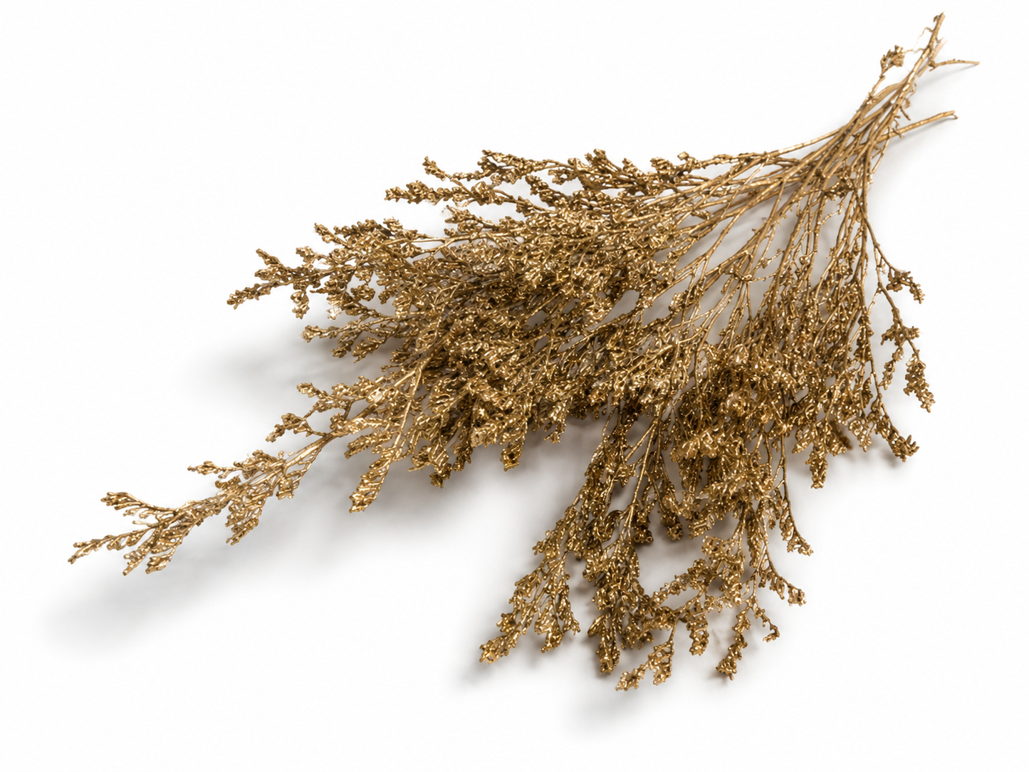 Caspi | Gold