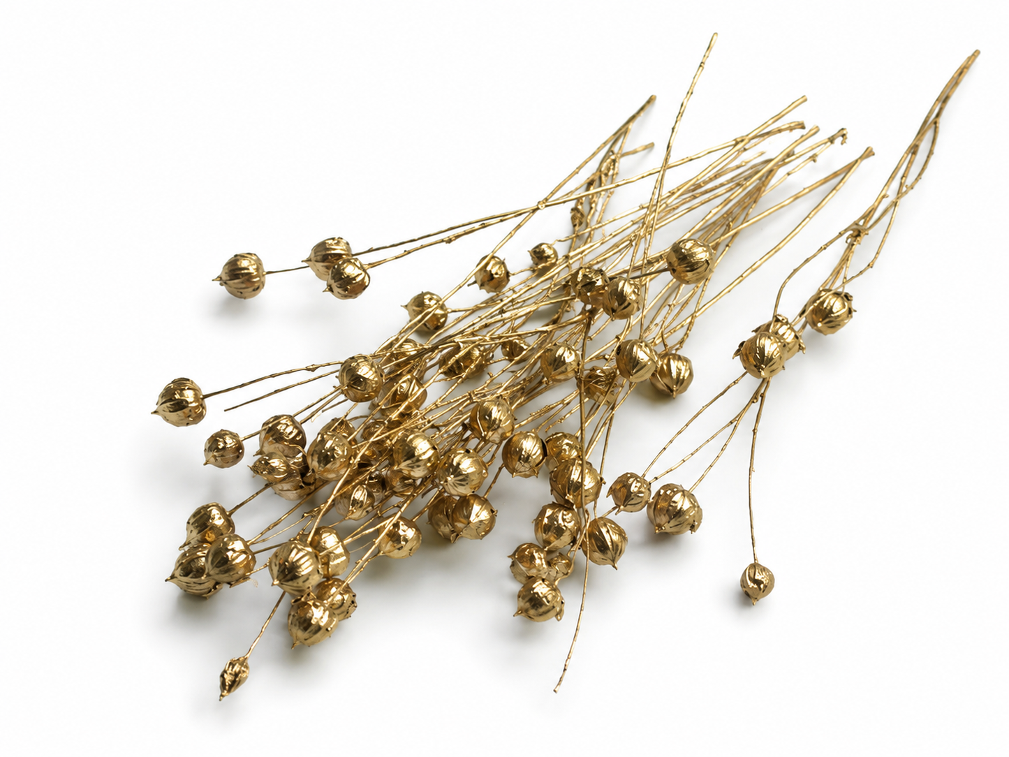 Flachs | Gold
