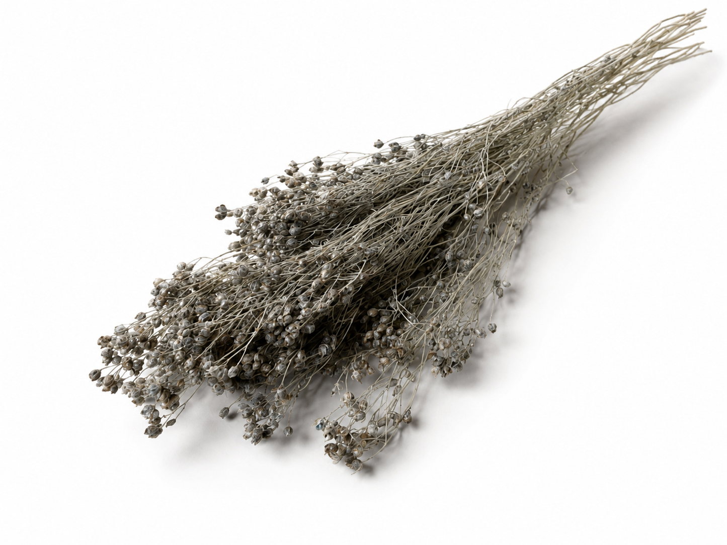 Broom | Grau