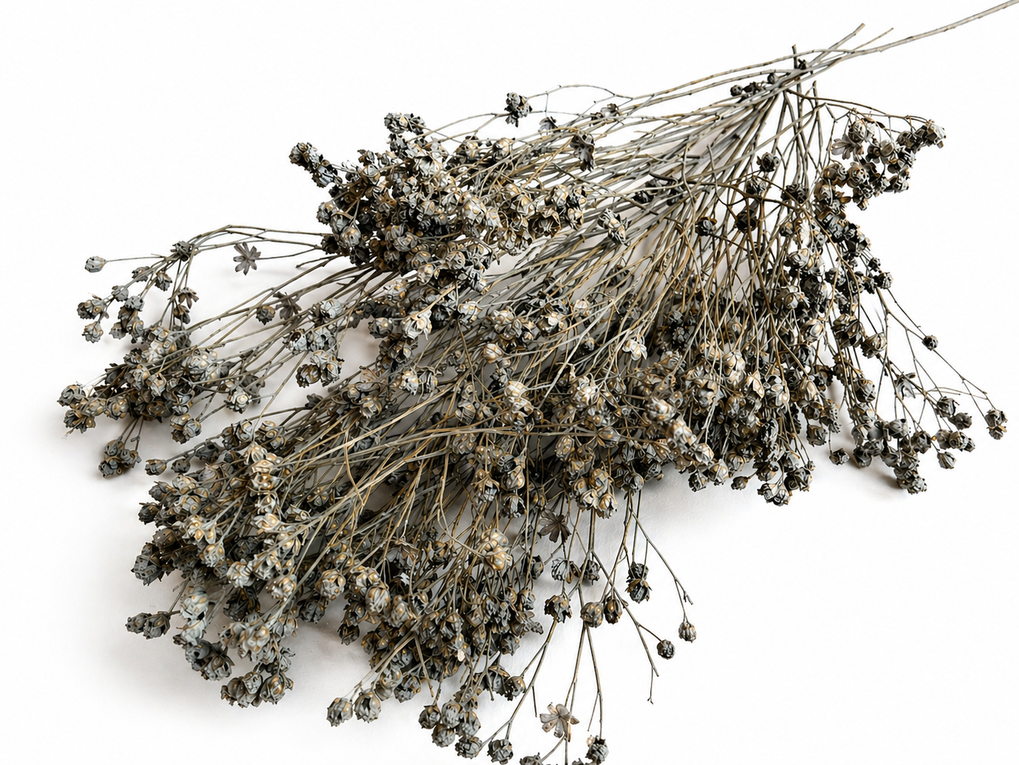 Broom | Grau-Braun