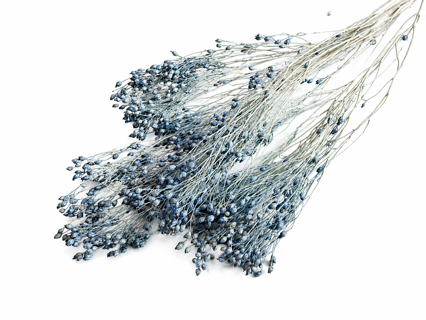 Broom | Jeansblau