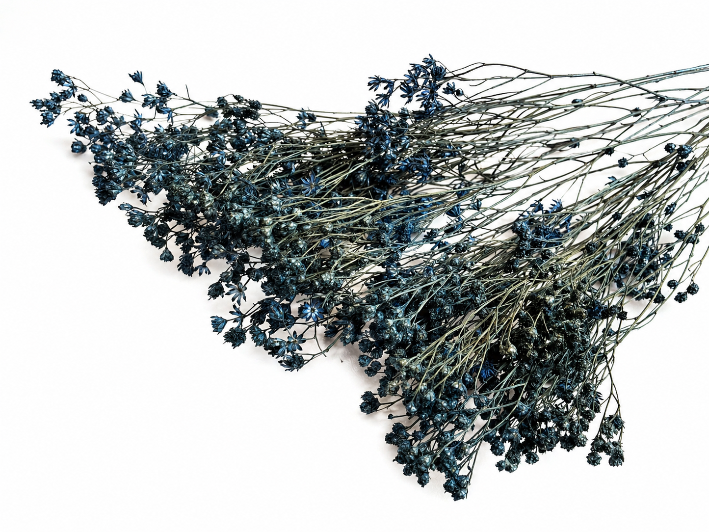 Broom | Nachtblau