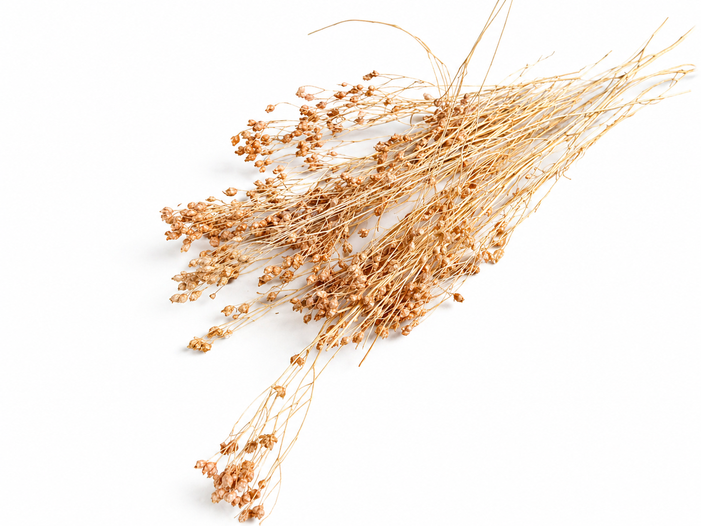 Broom | Nude