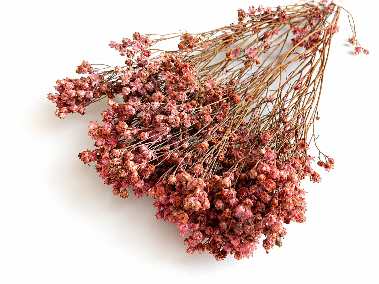 Broom | Rosenholz