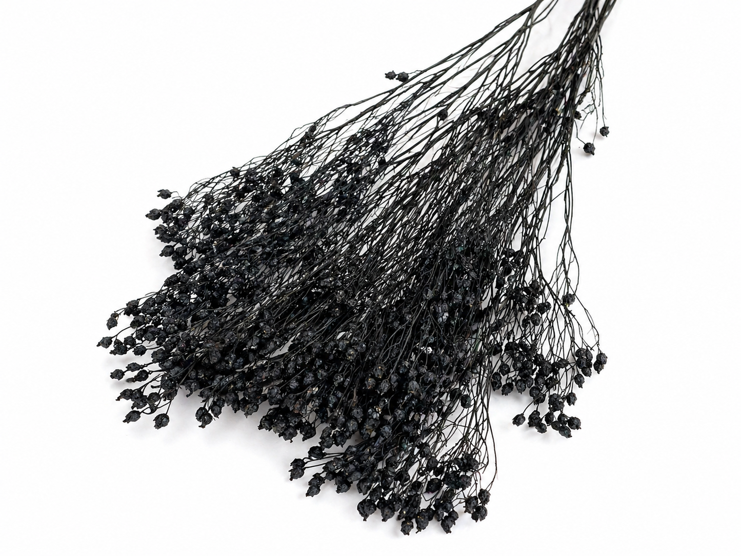 Broom | Schwarz