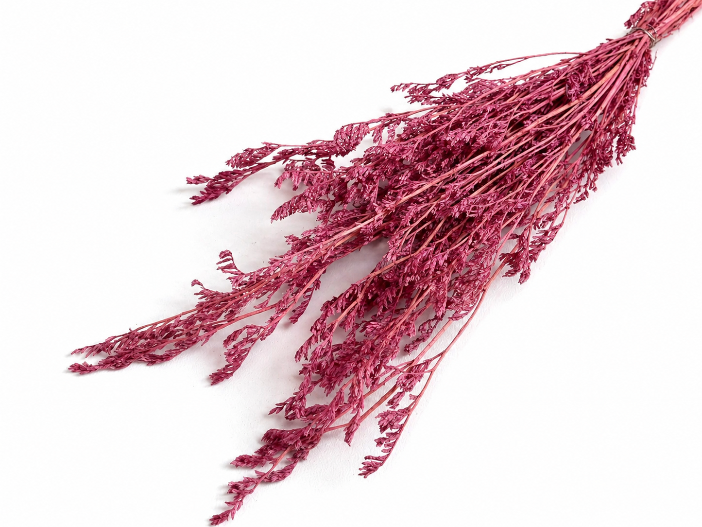Caspi | Drachenfrucht-Pink