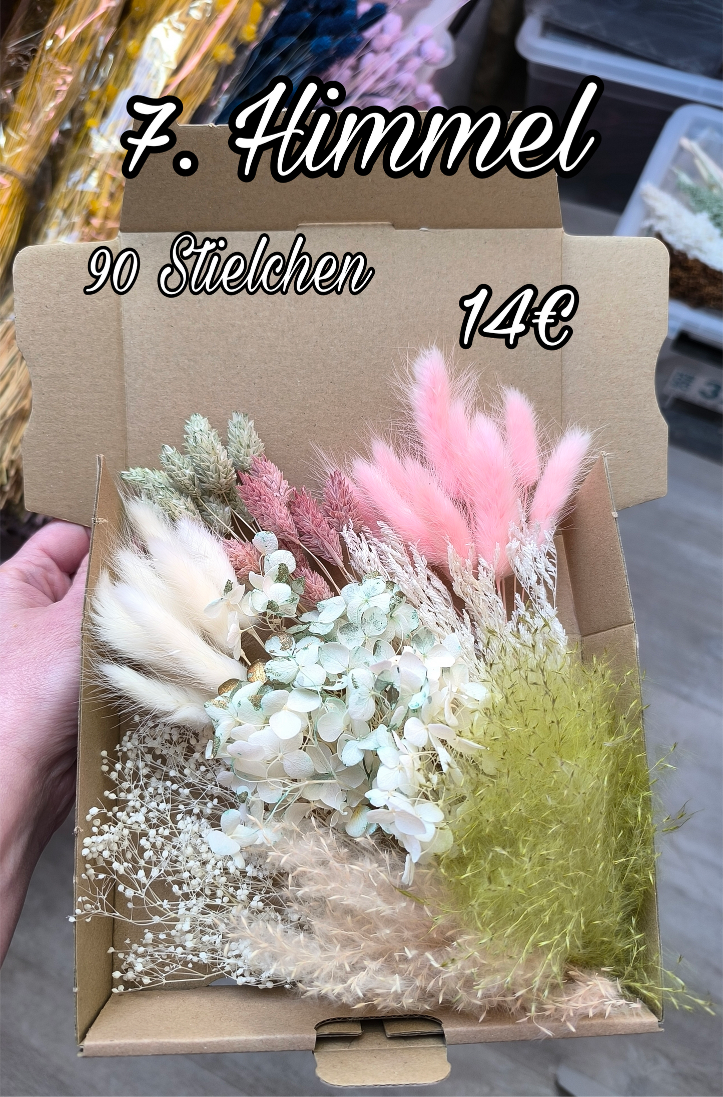 Kleine Box: 7. Himmel