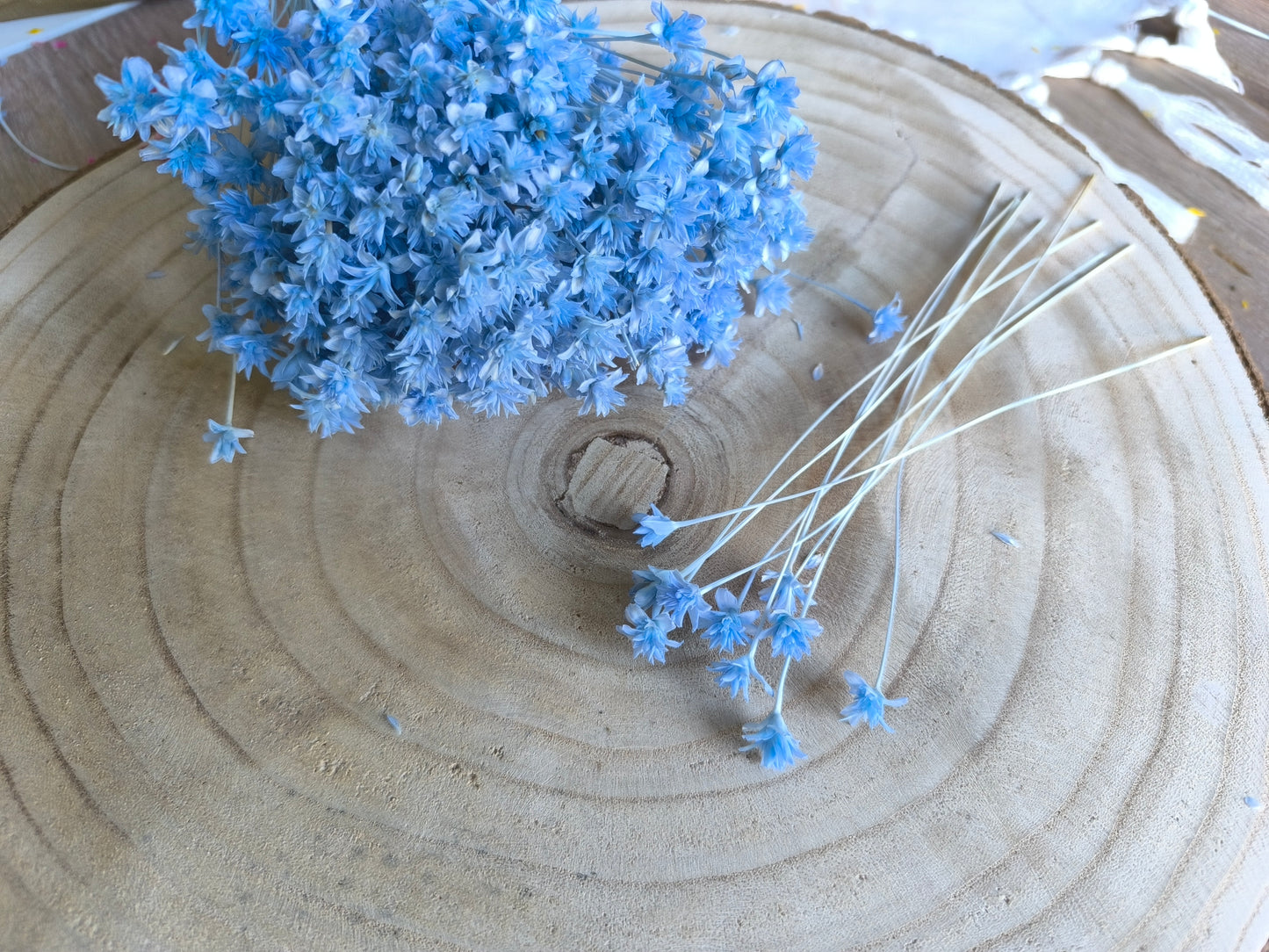 Hillis | Hellblau