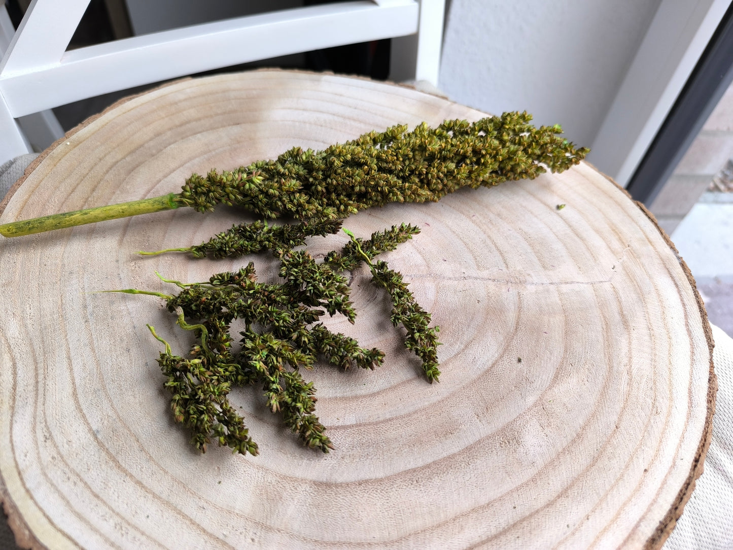 Rice | Olive