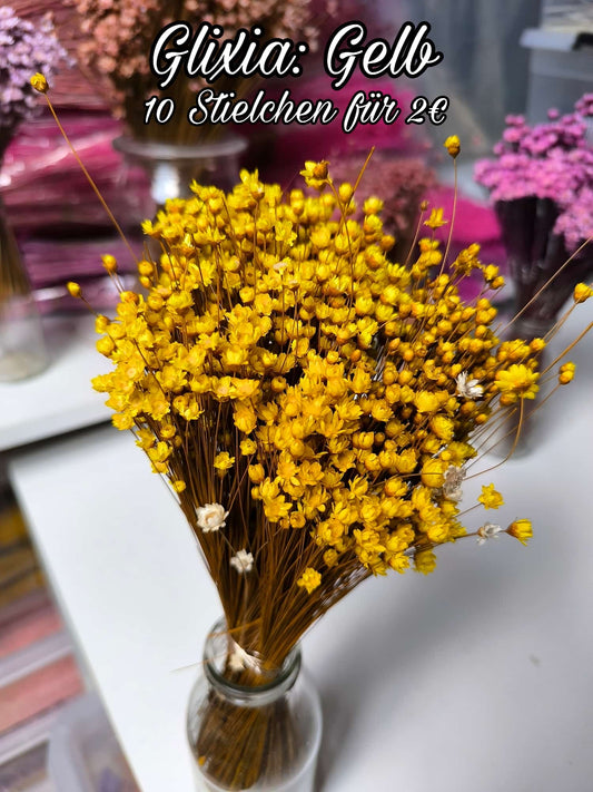 Glixia | Gelb