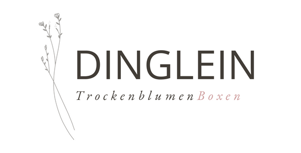 Dinglein | TrockenblumenBoxen