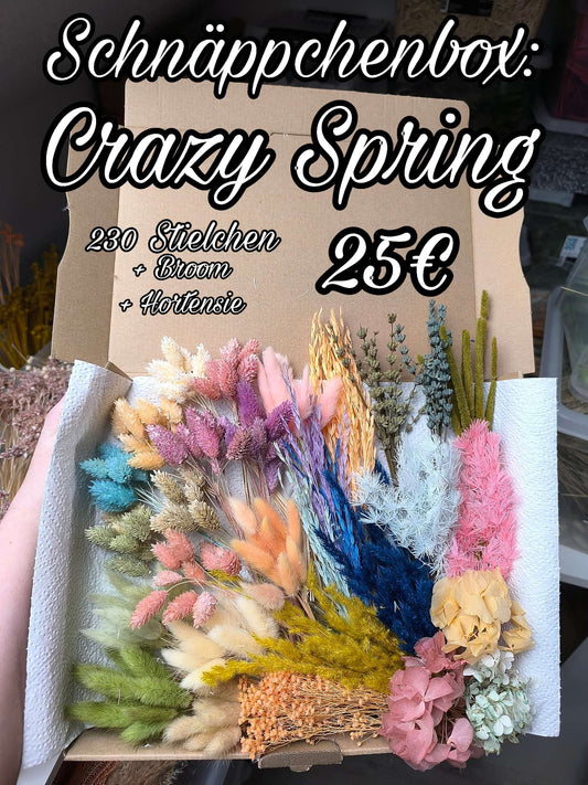 Schnäppchenbox: Crazy Spring