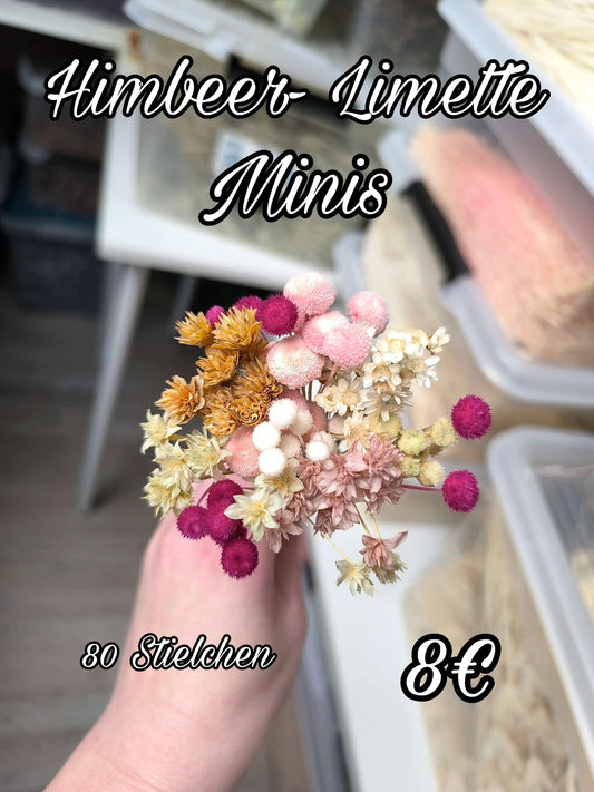 Himbeer Limette Minis