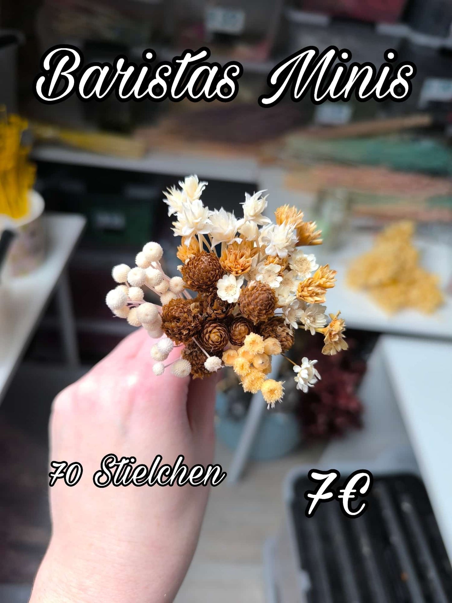 Baristas Minis