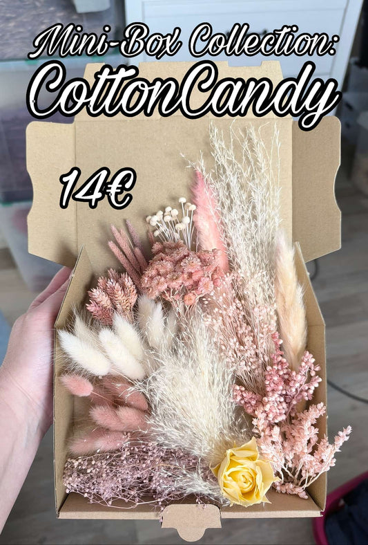 Mini-Box Collection: CottonCandy