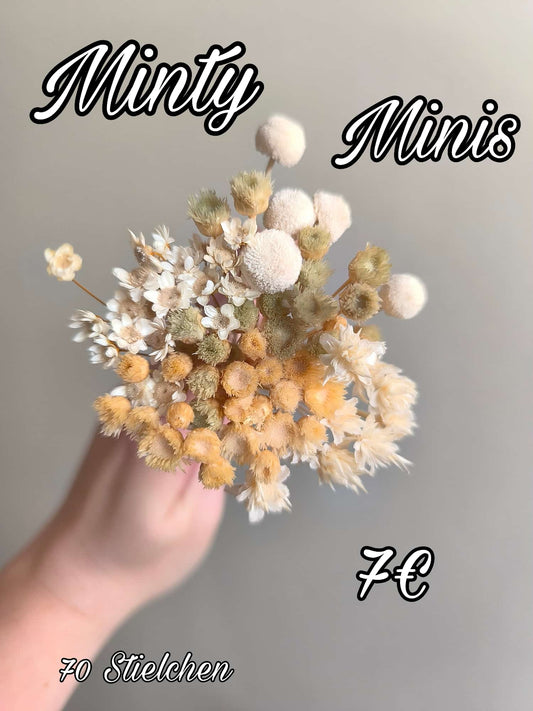 Minty Minis