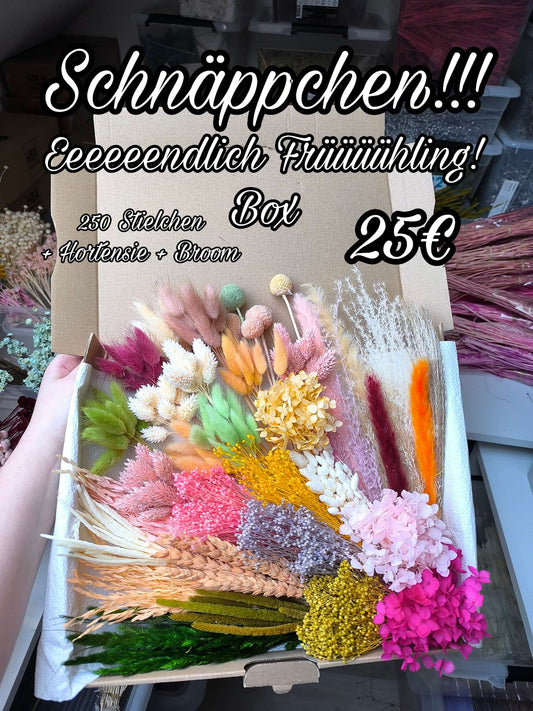 Schnäppchen! Endlich-Frühling-Box