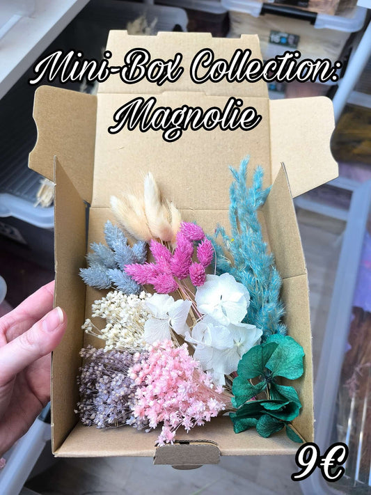 Mini-Box Collection: Magnolie