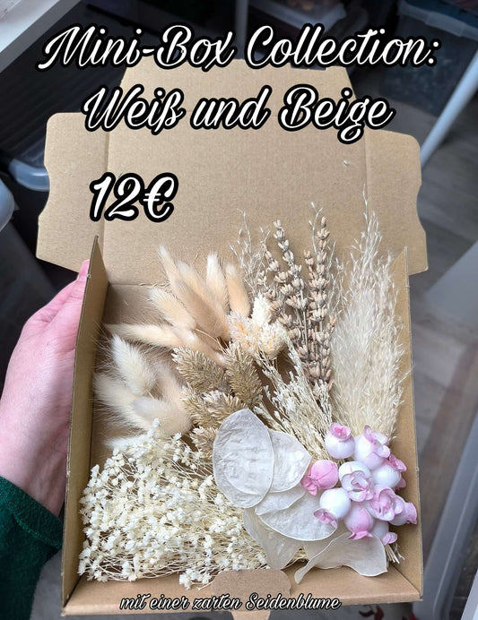 Mini-Box: Weiß und Beige