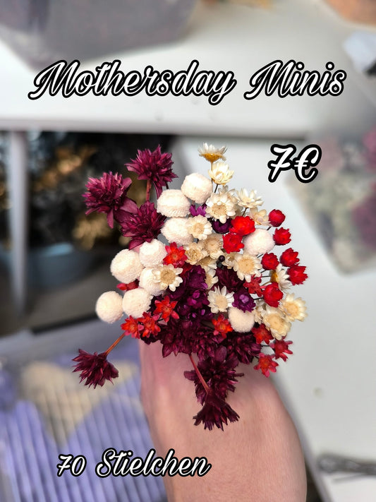Motherday Minis