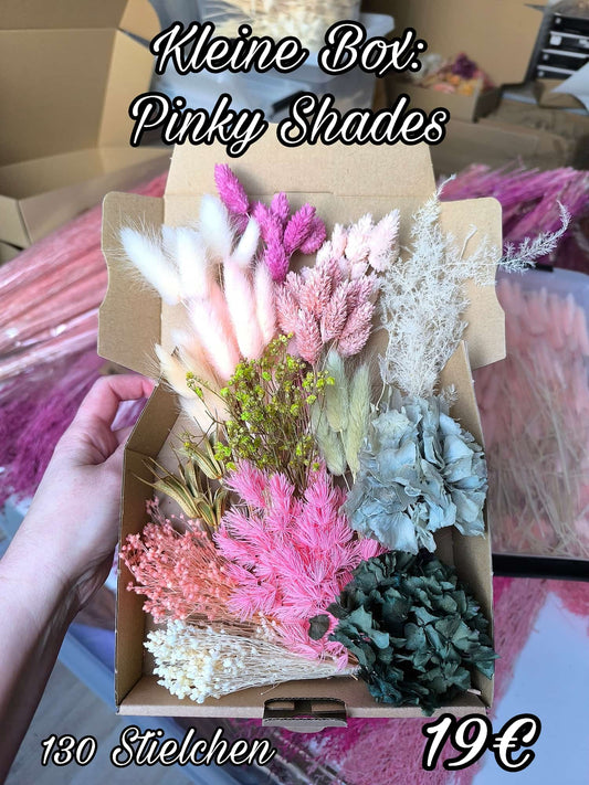 Kleine Box: Pinky Shades