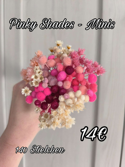 Pinky Shades - Minis