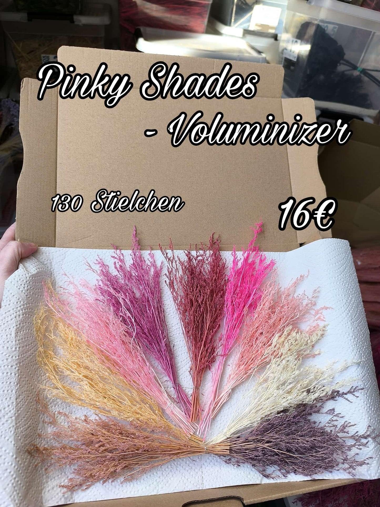 Pinky Shades - Voluminizer