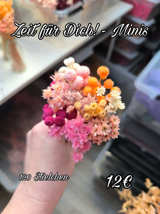 Zeit für Dich! - Minis