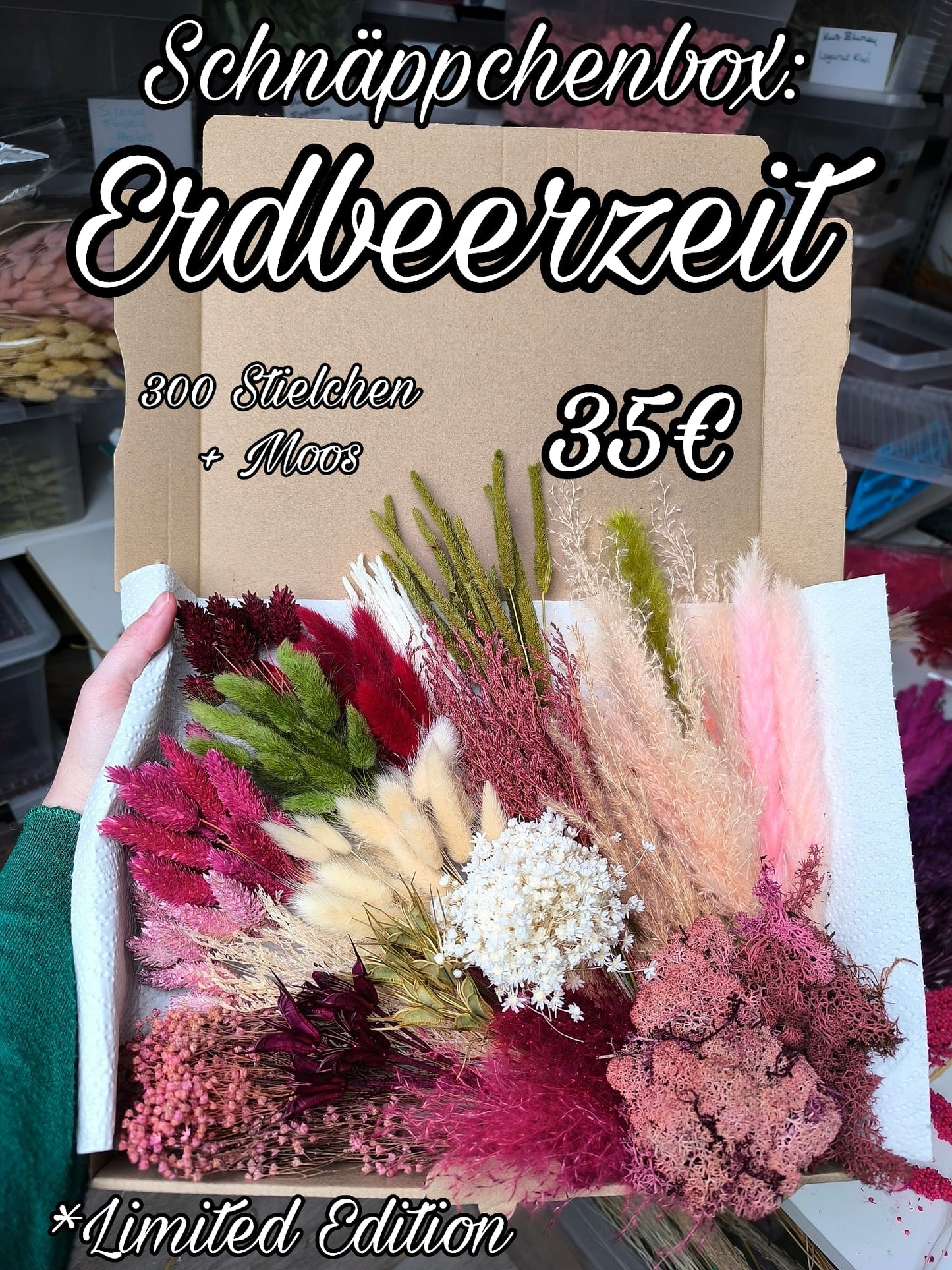 Box | Erdbeerzeit