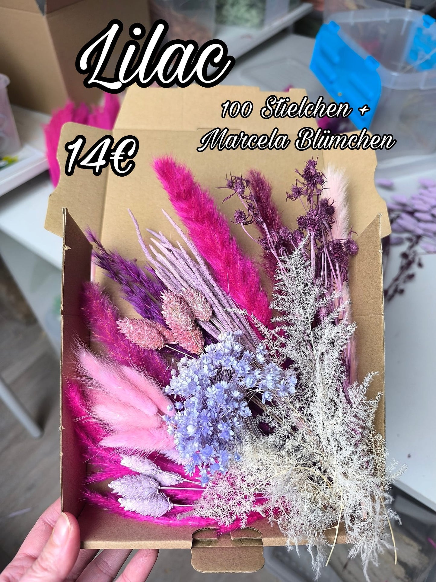 Box | Lilac