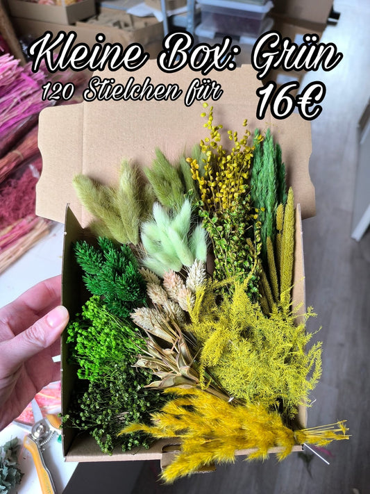 Kleine Box: Grün