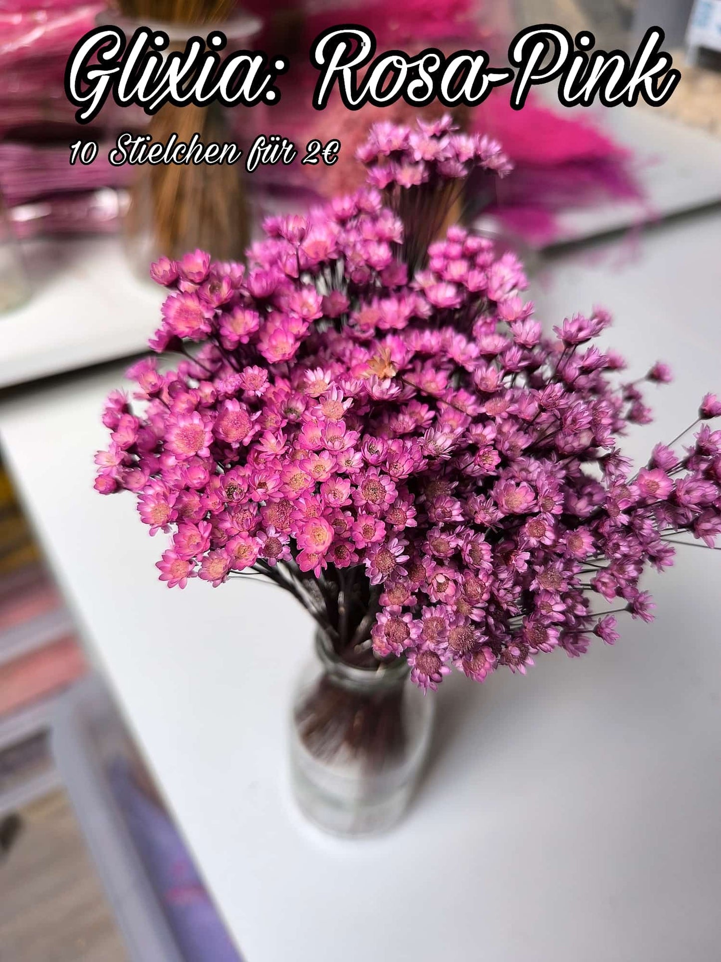 Glixia | Rosa-Pink