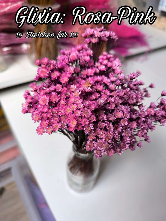 Glixia | Rosa-Pink