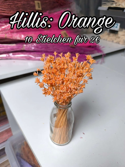 Hillis | Orange