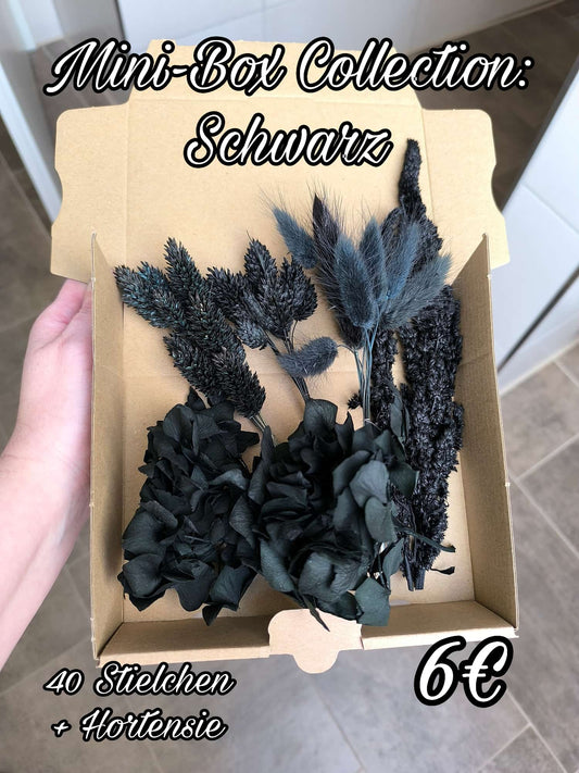 Mini-Box Collection: Schwarz