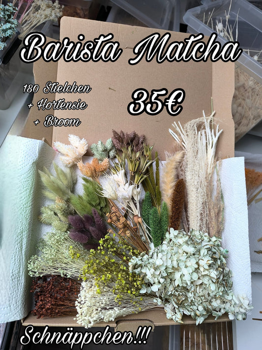 Barista Matcha