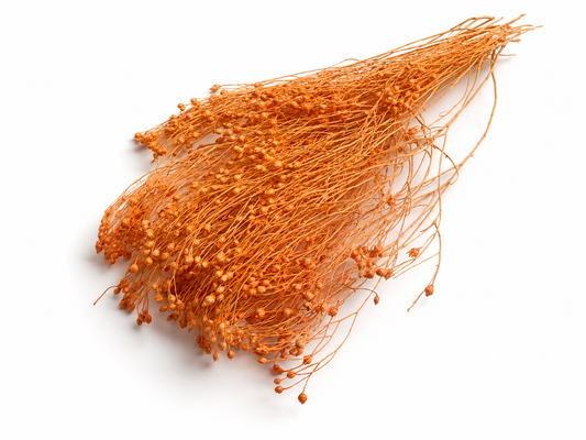 Broom | Orange