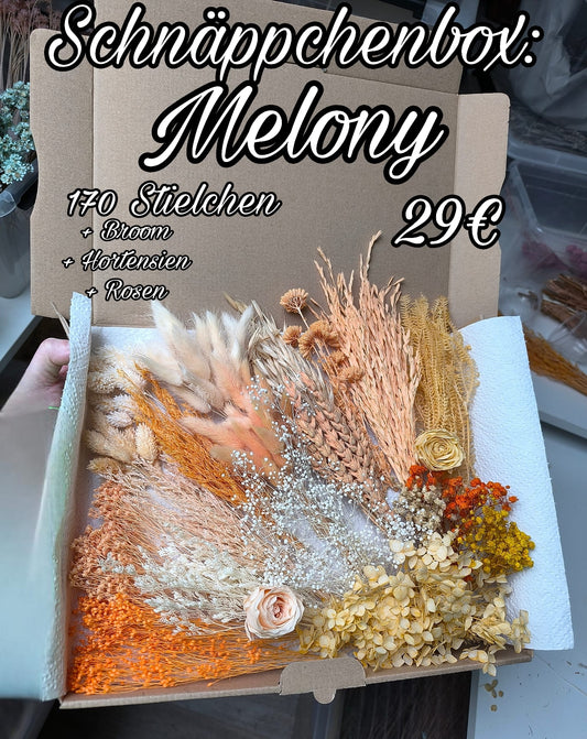 Schnäppchenbox: Melony