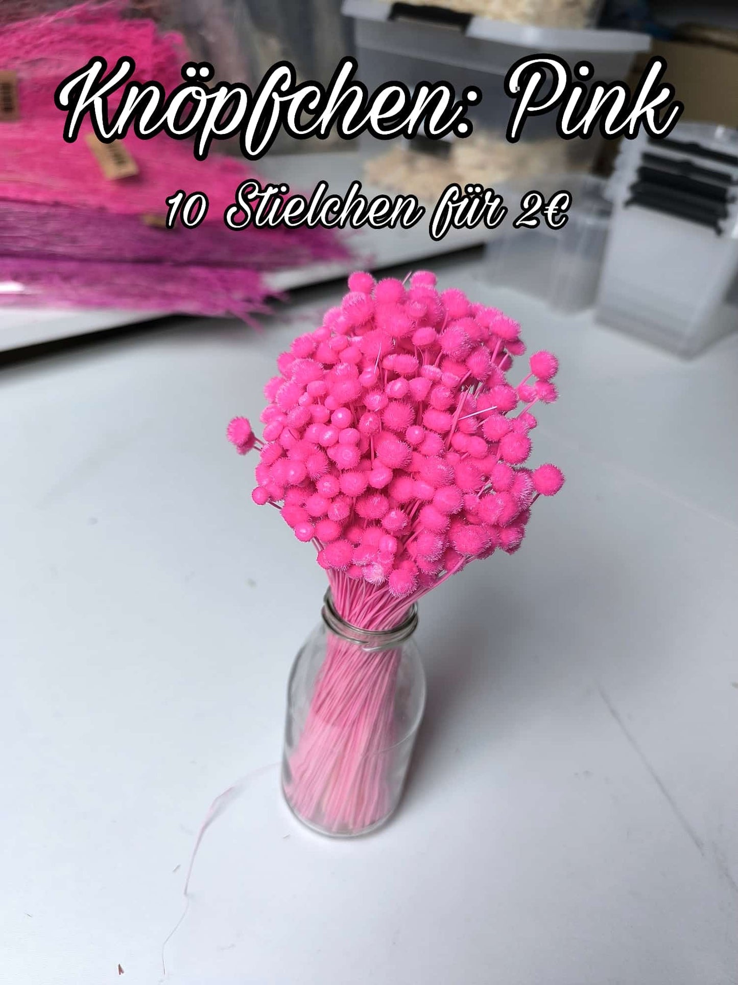 Knöpfchen | Pink