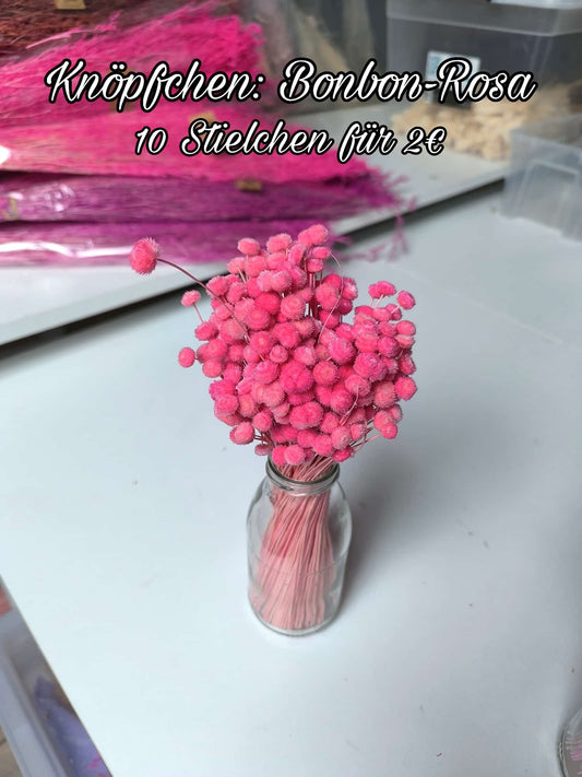 Knöpfchen | Bonbon-Rosa