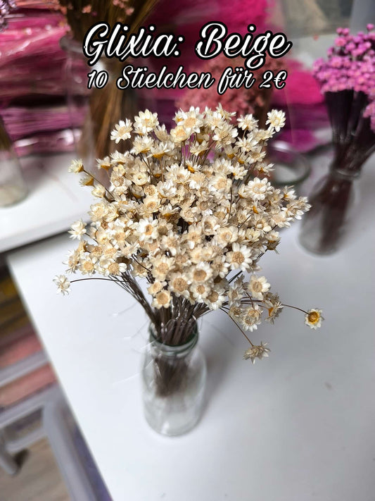 Glixia | Beige