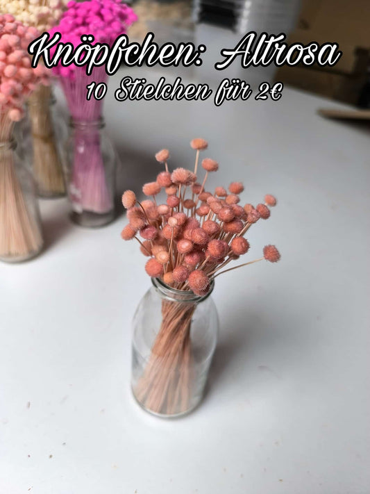 Knöpfchen | Altrosa