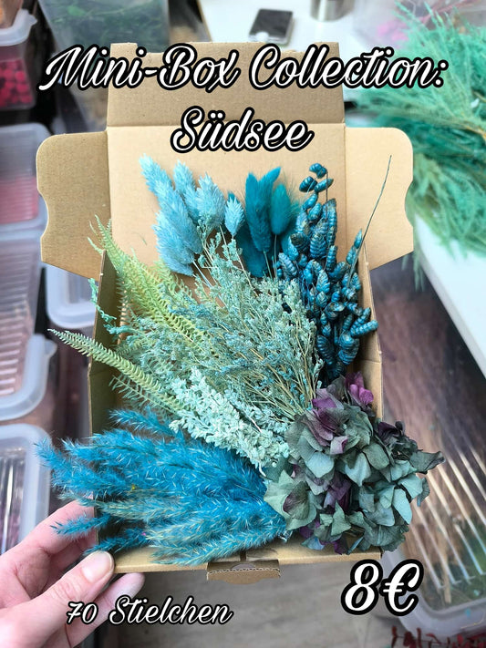 Mini-Box Collection: Südsee